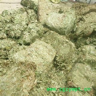 淫羊藿 个子 产地 吉林省图2