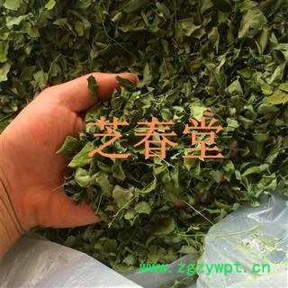 辣木叶 优质批发零售辣木叶 辣木籽大货现货批发图2