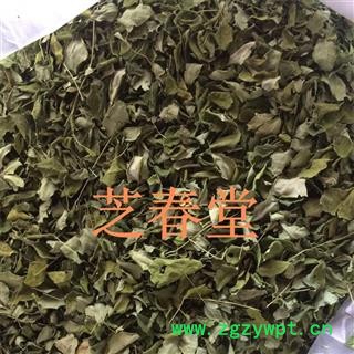 辣木叶 优质批发零售辣木叶 辣木籽大货现货批发图3