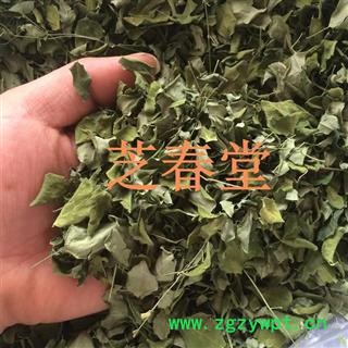 辣木叶 优质批发零售辣木叶 辣木籽大货现货批发图4