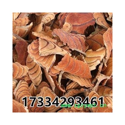 鸡血藤  鸡血屯   中药材供应 血风藤 九层风