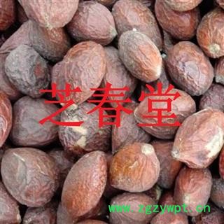 无硫正品 铁树花 铁树果 批发零售 各种 规格 中药材 花茶 矿石 冷备药材 产地 四川省图4