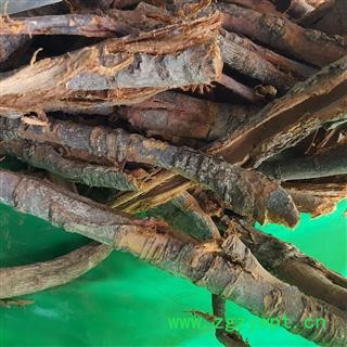 吉康药业核桃树皮根皮 核桃楸皮 山核桃树皮 长白山核桃树皮图3