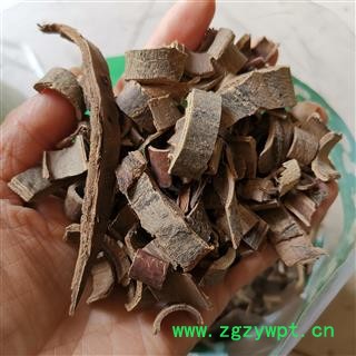 中药材山核桃树皮产白山核桃枝  核桃树皮图2