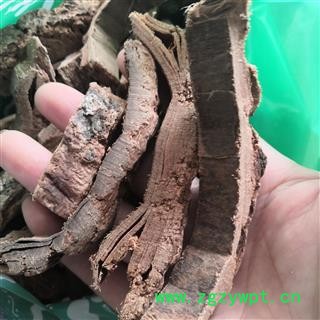 新辉药业中药材木棉皮  木棉树皮图2