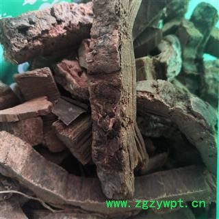 新辉药业中药材木棉皮  木棉树皮图4