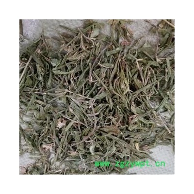 铁冬青 救必应  白银香 白银木 过山风  羊不食