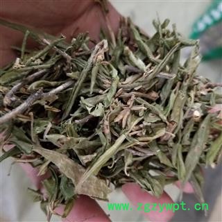 铁冬青 救必应  白银香 白银木 过山风  羊不食图2