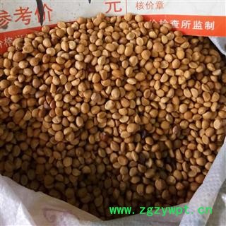 吉康药业跌打豆 华佗豆拐子豆图2