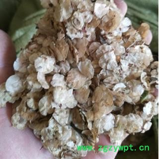 新辉药业榆树皮 榆仁 榆钱