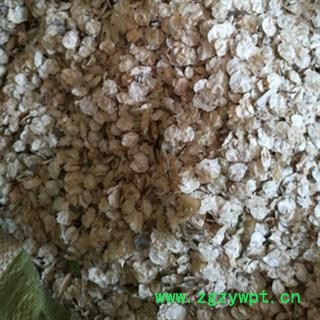 新辉药业榆树皮 榆仁 榆钱图2