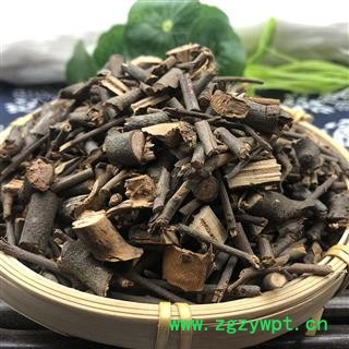 桑寄生 统货 产地 辽宁省 凯捷中药图3