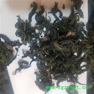 桑叶茶 新鲜桑叶干霜桑叶 桑树叶图2