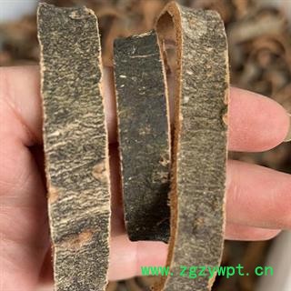 厚朴 新货 2021 统 产地 四川省成都市都江堰市图2