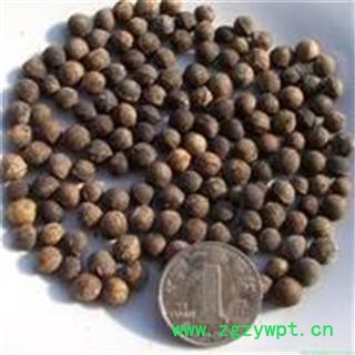 芝春堂 各种冷背药材批发零售 樟树籽 樟树子 产地四川 支持验货图4