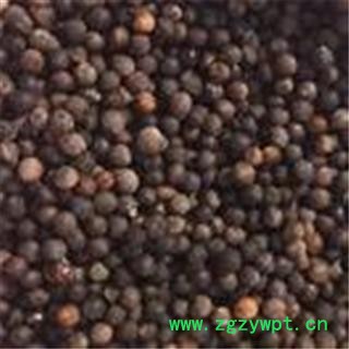 芝春堂 各种冷背药材批发零售 樟树籽 樟树子 产地四川 支持验货图3