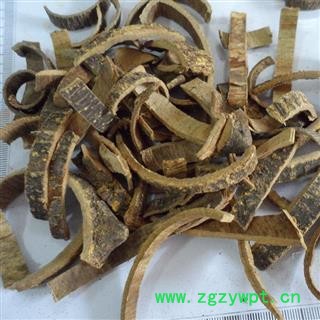 海桐皮 统 产地 四川省 国药堂 专注品质图2