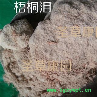 胡桐泪  梧桐泪 石桐律 石律图2