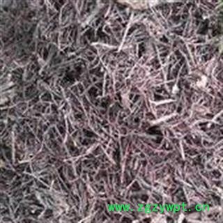 圣草康园榕树须 榕须 产地直供榕树根 半天吊 榕树须 吊风根图2