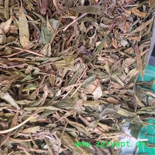 圣草康园大叶映山红 满山红 映山红迎山红满山红叶图3