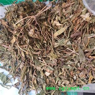 圣草康园大叶映山红 满山红 映山红迎山红满山红叶图2