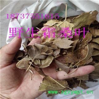 霜桑叶 霜桑叶 产地 河南省平顶山市汝州市图2