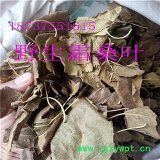 霜桑叶 霜桑叶 产地 河南省平顶山市汝州市图4