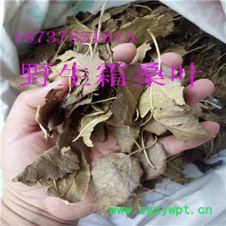 霜桑叶 霜桑叶 产地 河南省平顶山市汝州市图3