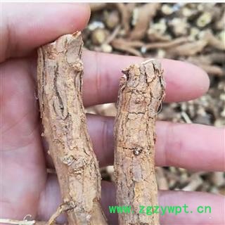 枸杞根 正品保证质量7天无理由退货退款 华安堂图4