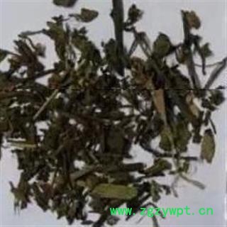 吉康药业中药材 莽草 水莽草 披针叶茴香红毒茴 芒草 春草 石桂 红桂图2