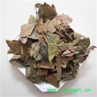 吉康药业布渣叶 蓑衣子 破布叶 麻布叶 烂布渣散货图3