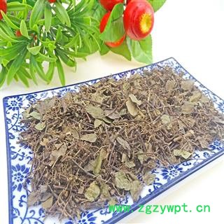 络石藤   络石屯 白花藤 络石草 中药材图2