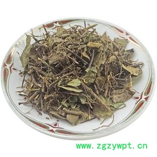 络石藤   络石屯 白花藤 络石草 中药材图4