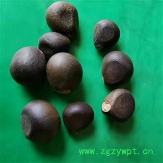 九盛堂中药材文冠果 文冠木 文官果 土木瓜 温旦革子图3