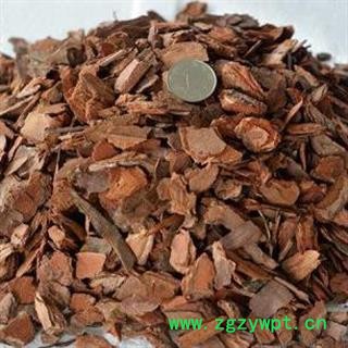 松树皮 正品保证质量7天无理由退货退款 安品堂图3