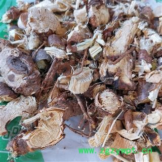 小丽百草行金雀根 白心皮 木质锦鸡儿土黄芪白心皮阳雀花根 大片优选 产地 湖南省图2