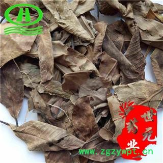 世元药业 榕树叶 正品 小榕叶 落地金钱图2