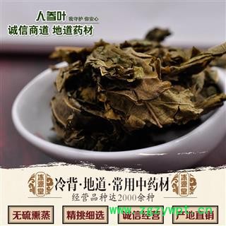 人参叶 统货 产地 吉林省图2