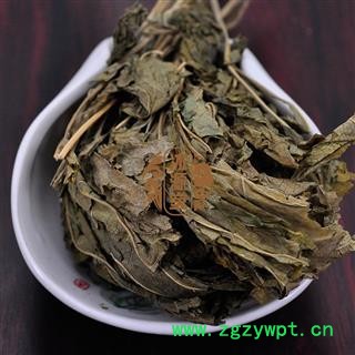 人参叶 统货 产地 吉林省图4