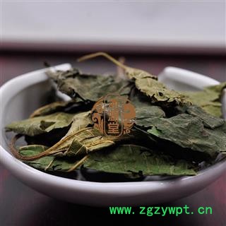 霜桑叶 桑叶 青桑叶统货 产地 江苏省图3