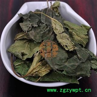 霜桑叶 桑叶 青桑叶统货 产地 江苏省图4