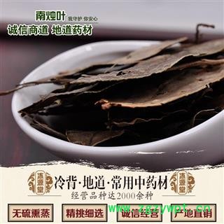 南烛叶 统货 产地 湖南省图2