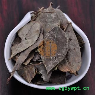 南烛叶 统货 产地 湖南省图4