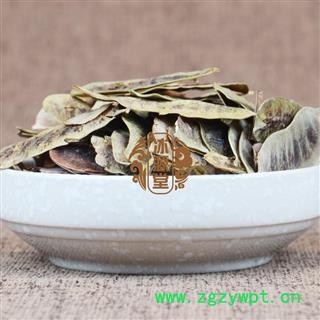 番泻叶 番泻荚统 产地 广西图4