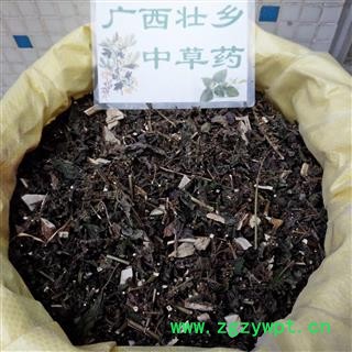 广西壮乡中草药 野生 紫苏 全草 产地 广西柳州图3