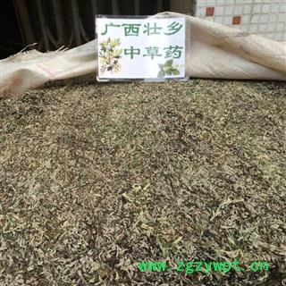 广西壮乡中草药 野生 产地大货 艾叶（无杆纯叶） 小叶艾叶 产地 广西柳州图2