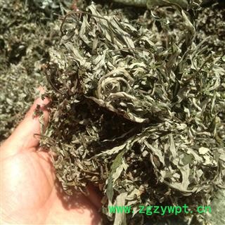 广西壮乡中草药 野生 产地大货 艾叶（无杆纯叶） 小叶艾叶 产地 广西柳州图4