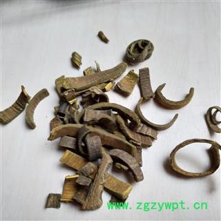 黄柏 川黄柏 产地 四川省图2