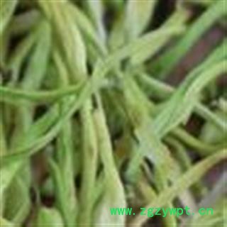 金银花 1000克 河南产图4