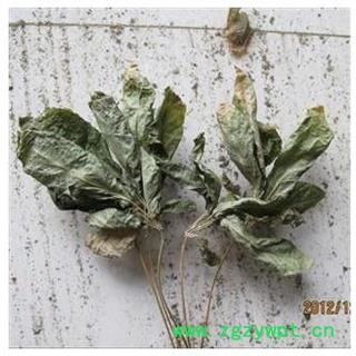 三七叶 1000克图3